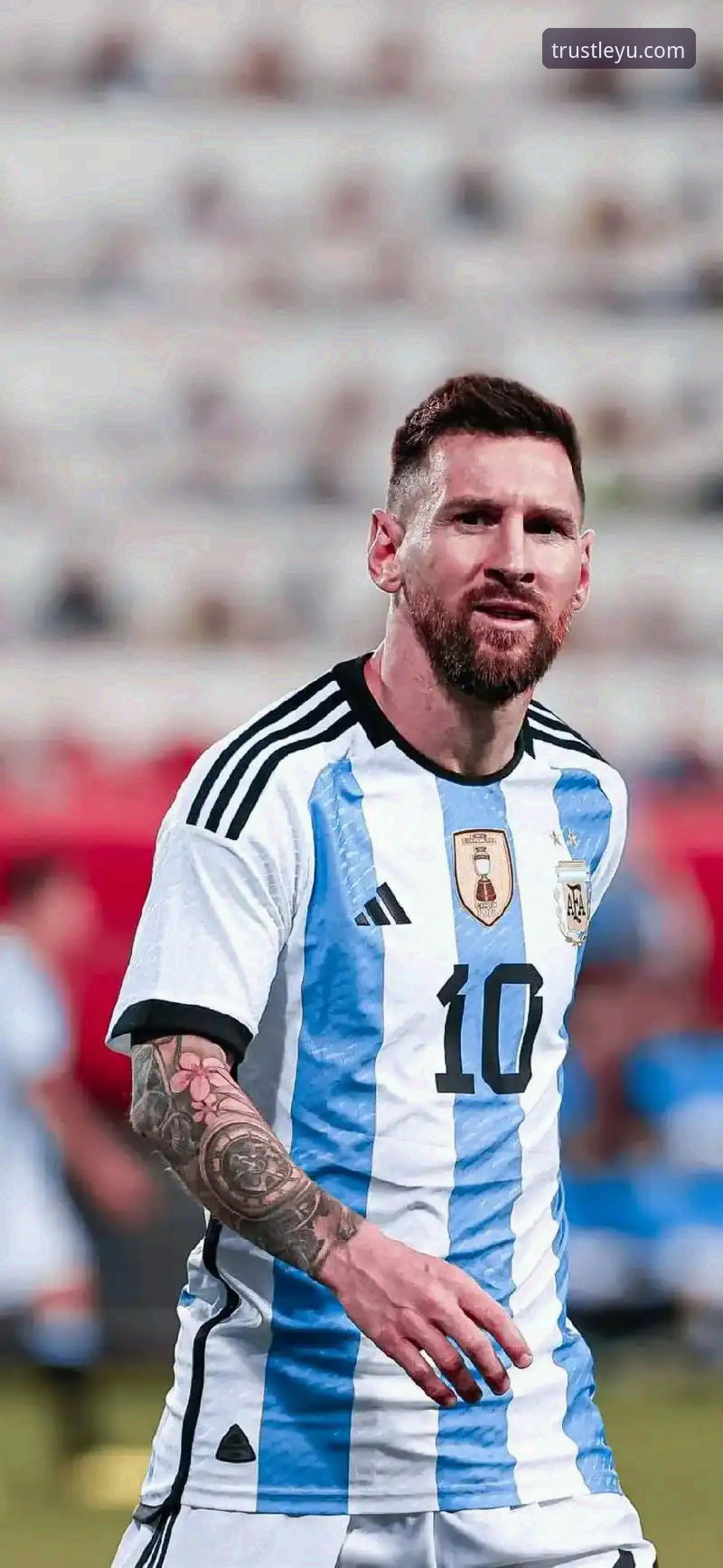 阿根廷新星重伤无缘世界杯，乐鱼体育APP赛事追踪详解